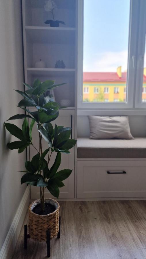 Alfama Garden Apartment Grudziadz Luaran gambar