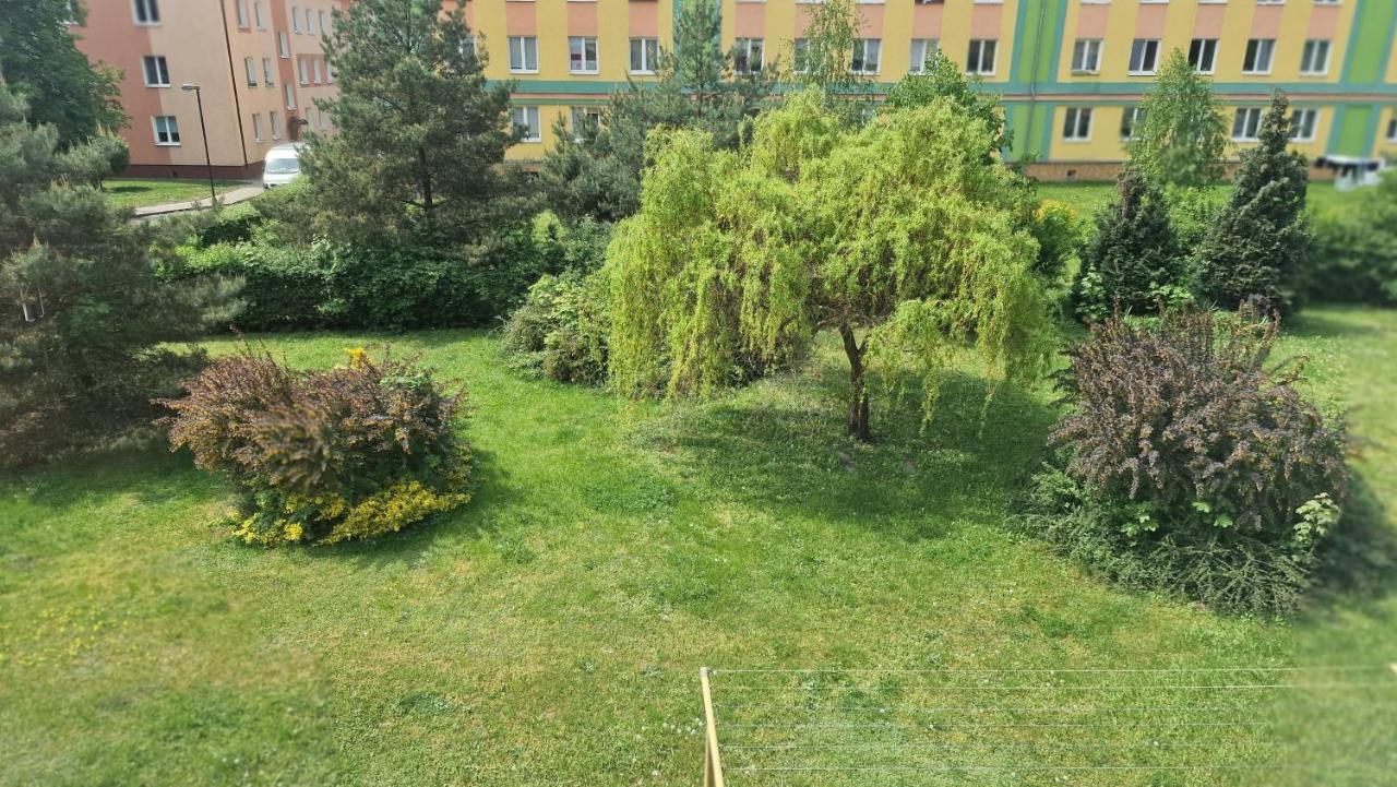 Alfama Garden Apartment Grudziadz Luaran gambar